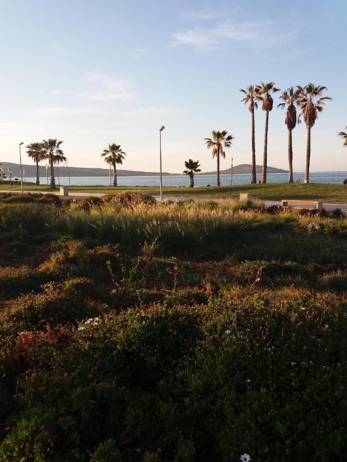 Apartment Nador Rif ภายนอก รูปภาพ